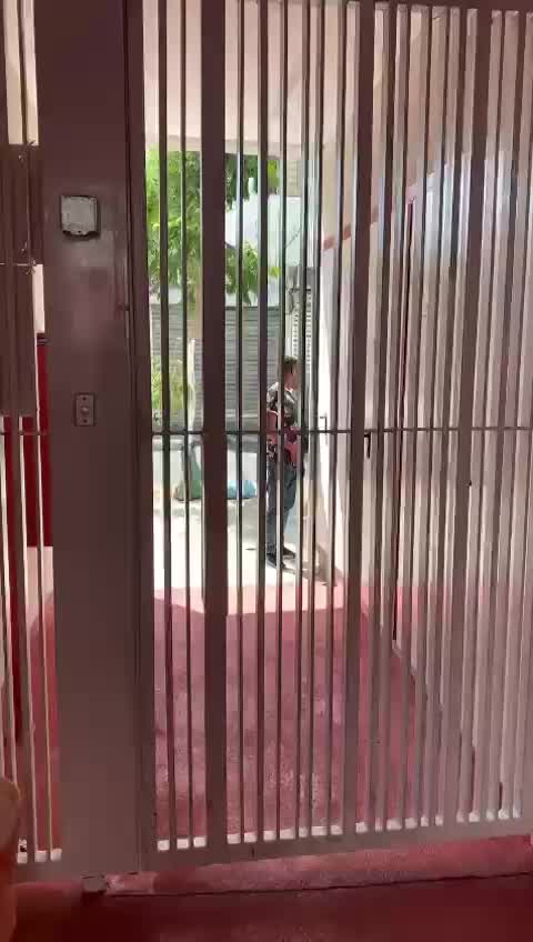 משתין בכניסה לבניין