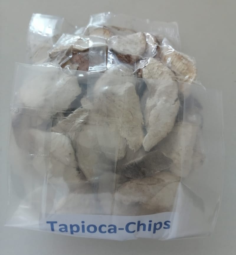 TAPIOCA CHIPS