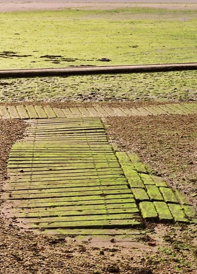 The Person-Centred Approach image