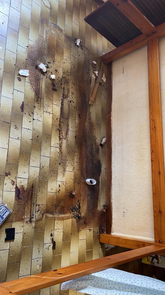 Décès - mort naturelle et scènes de crime