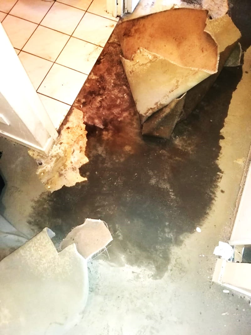 NETTOYAGE SCENE DE CRIME