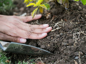 Planting Ceremony