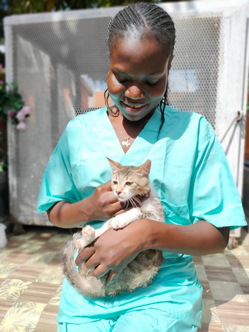 Hotel ( Pet sitting)