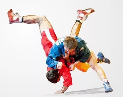 Презентация проекта "Самбо в школу"