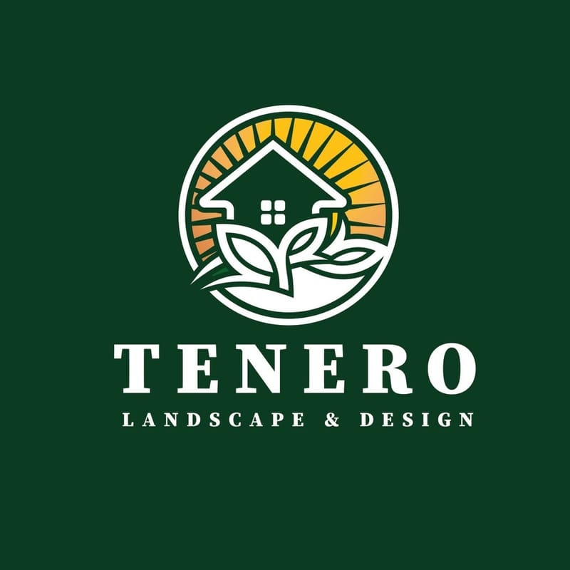 Our vision tenero