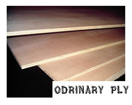 ORDINARY PLYWOOD (LRC)