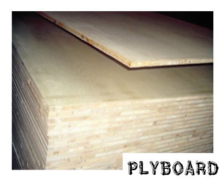 PLYBOARD