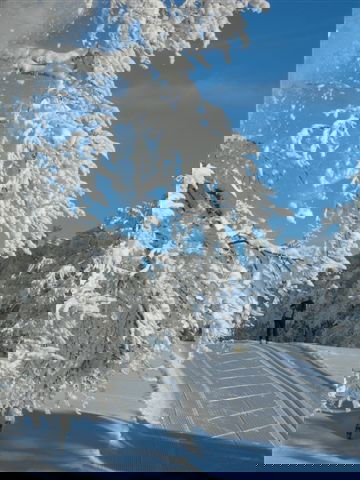 BUSSANGLA BRESSE STATION DE SKI