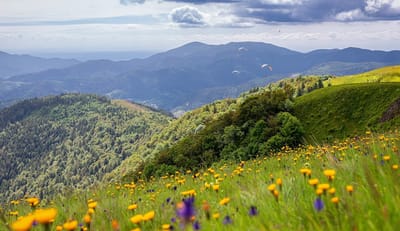 RANDONNÉE LE DRUMONT