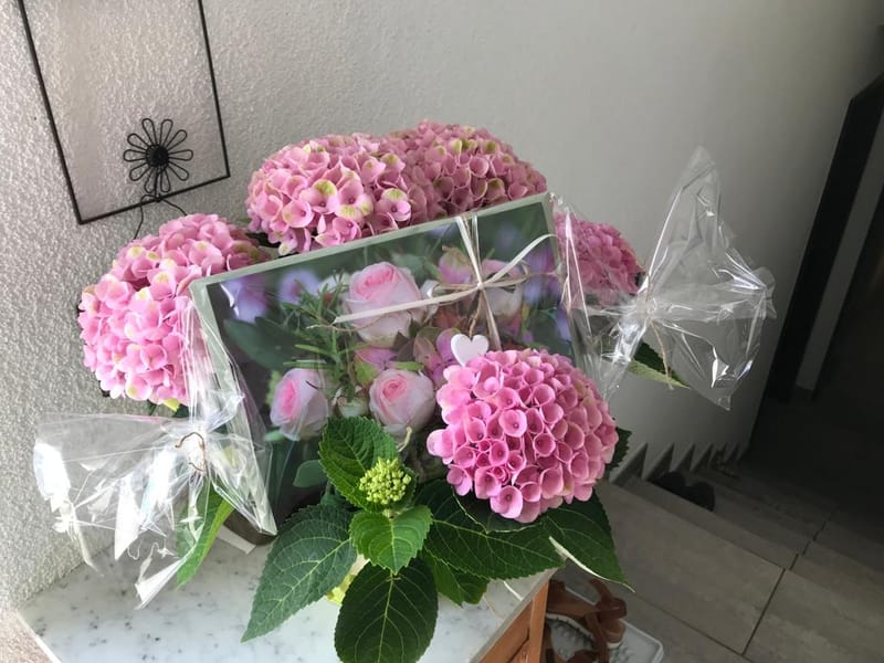 Verabschiedung Sonja Suhner