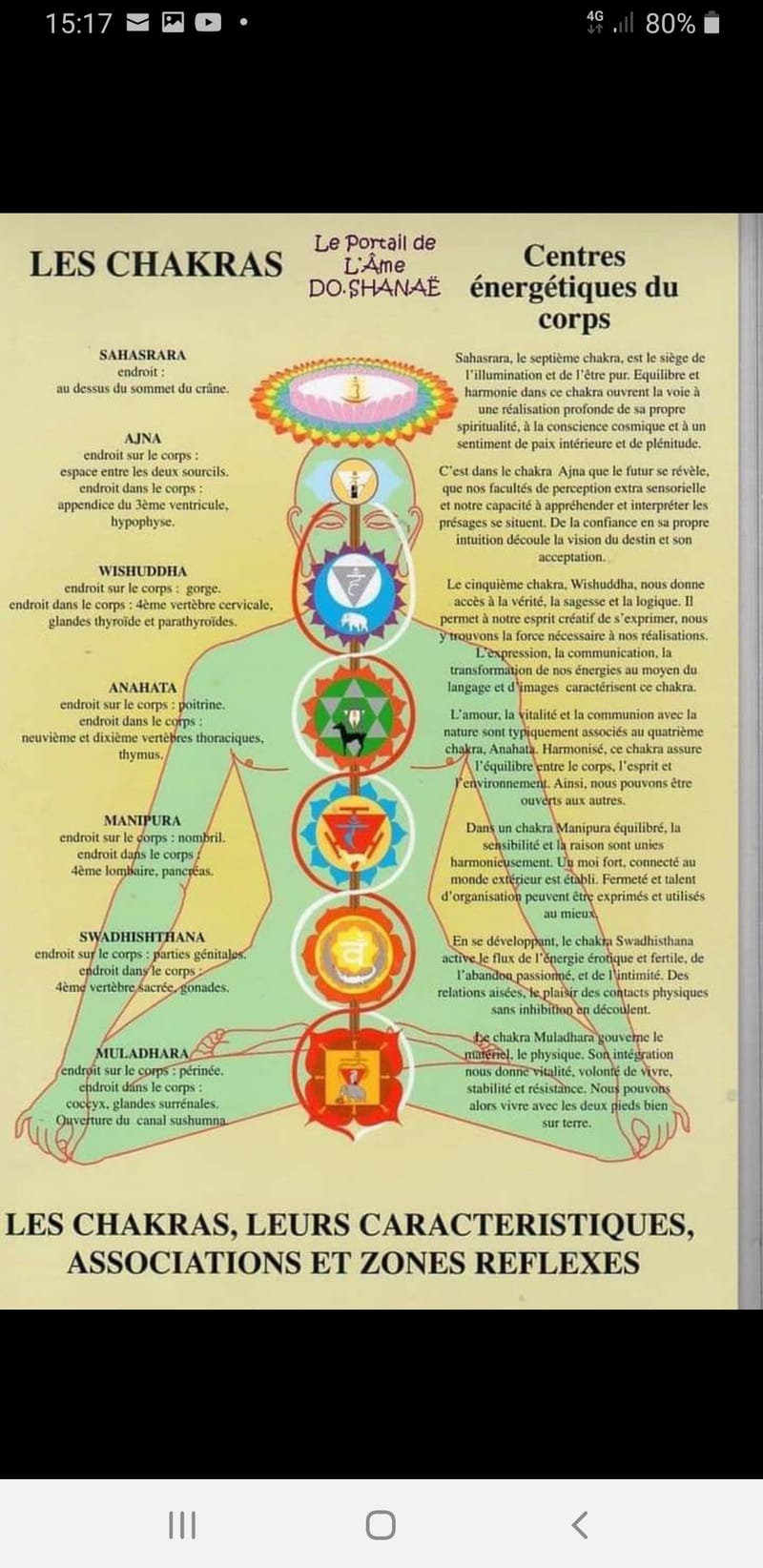 Massage Énergétique Chinois (Tui-Na)