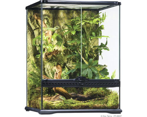 Bientôt ! Vente de terrariums & aquariums d' occasion !