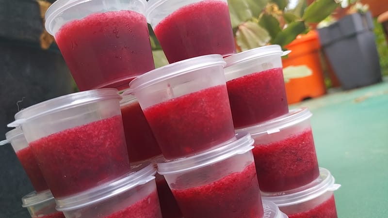 Vente de produits Reptilian Protect, marque Jungle Park