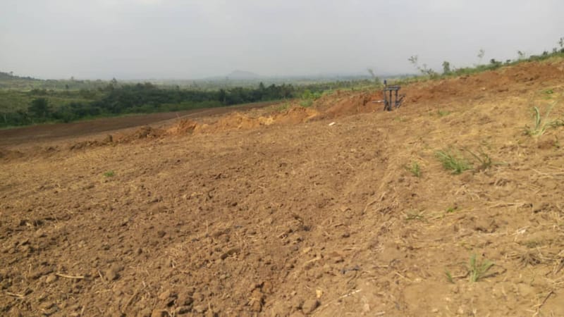 Agricultural Consultancy