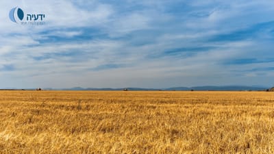 תשעה ימים לעומר-מפגש: הקשר בינך לבין ה'