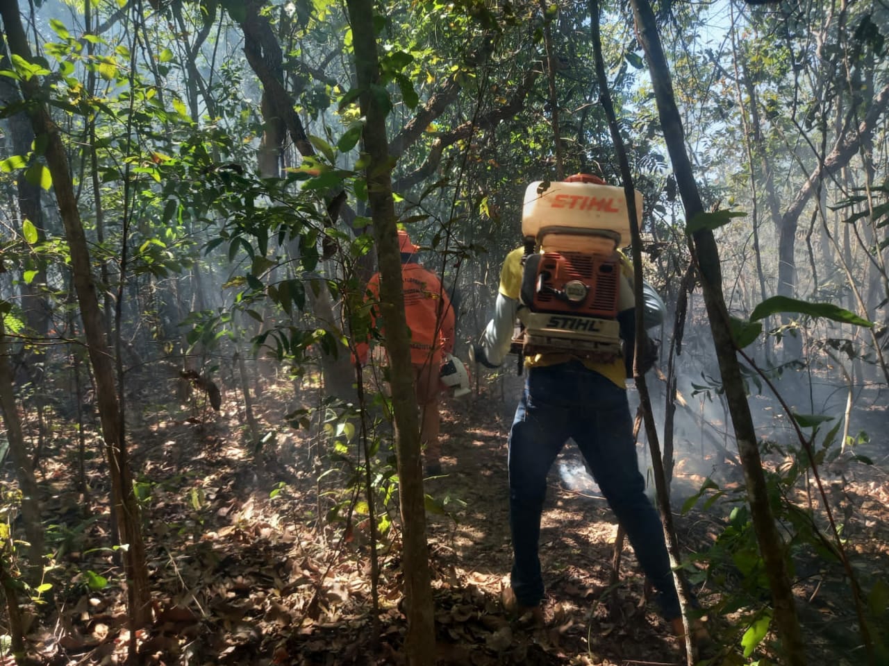 Operação da Brigada Ambiental de Dois Irmãos do Tocantins combate foco de calor na zona rural