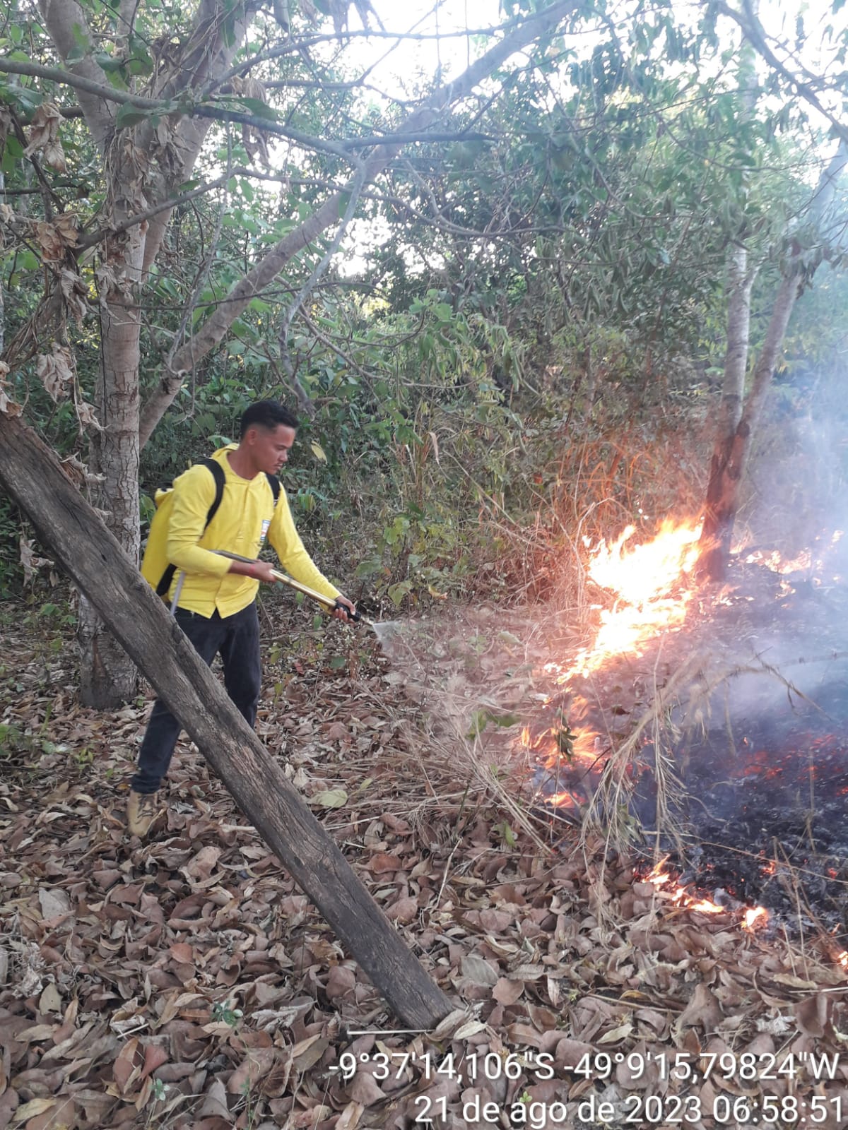 Queimada criminosa destrói várias espécies de árvores em app do córrego buriti em Abreulândia