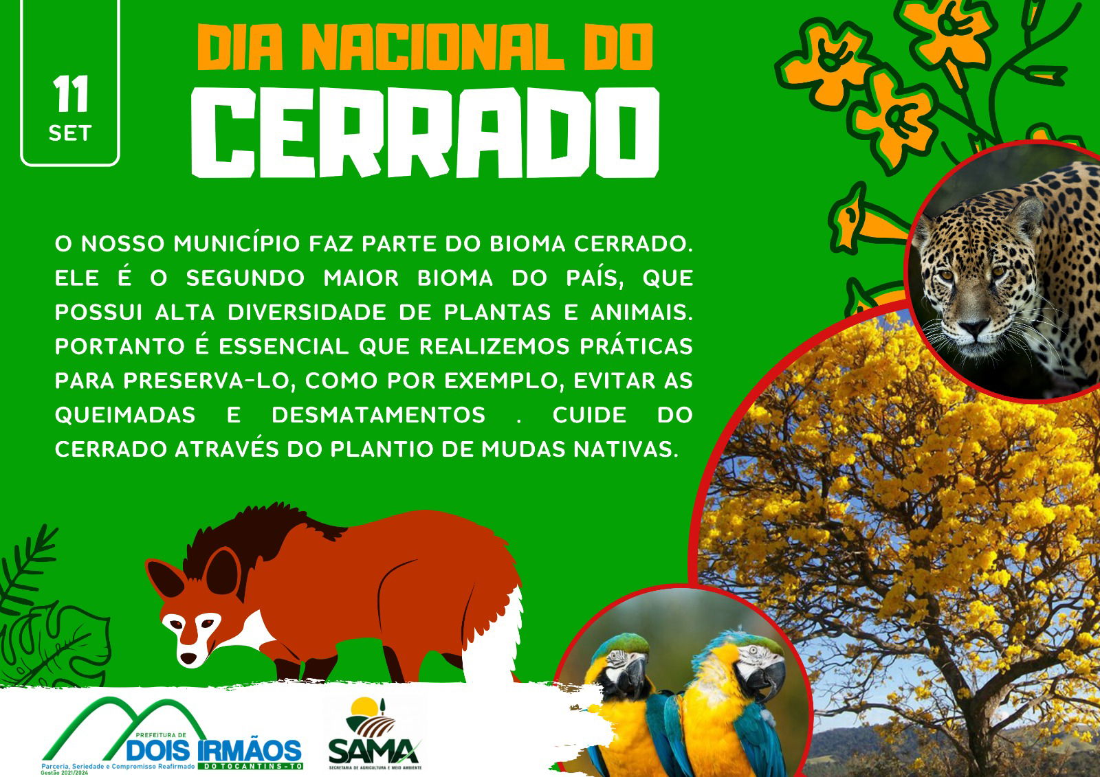 Prefeitura de Dois Irmãos do Tocantins celebra o Dia do Cerrado: "O Cerrado: Guardião da Diversidade e da Vida"