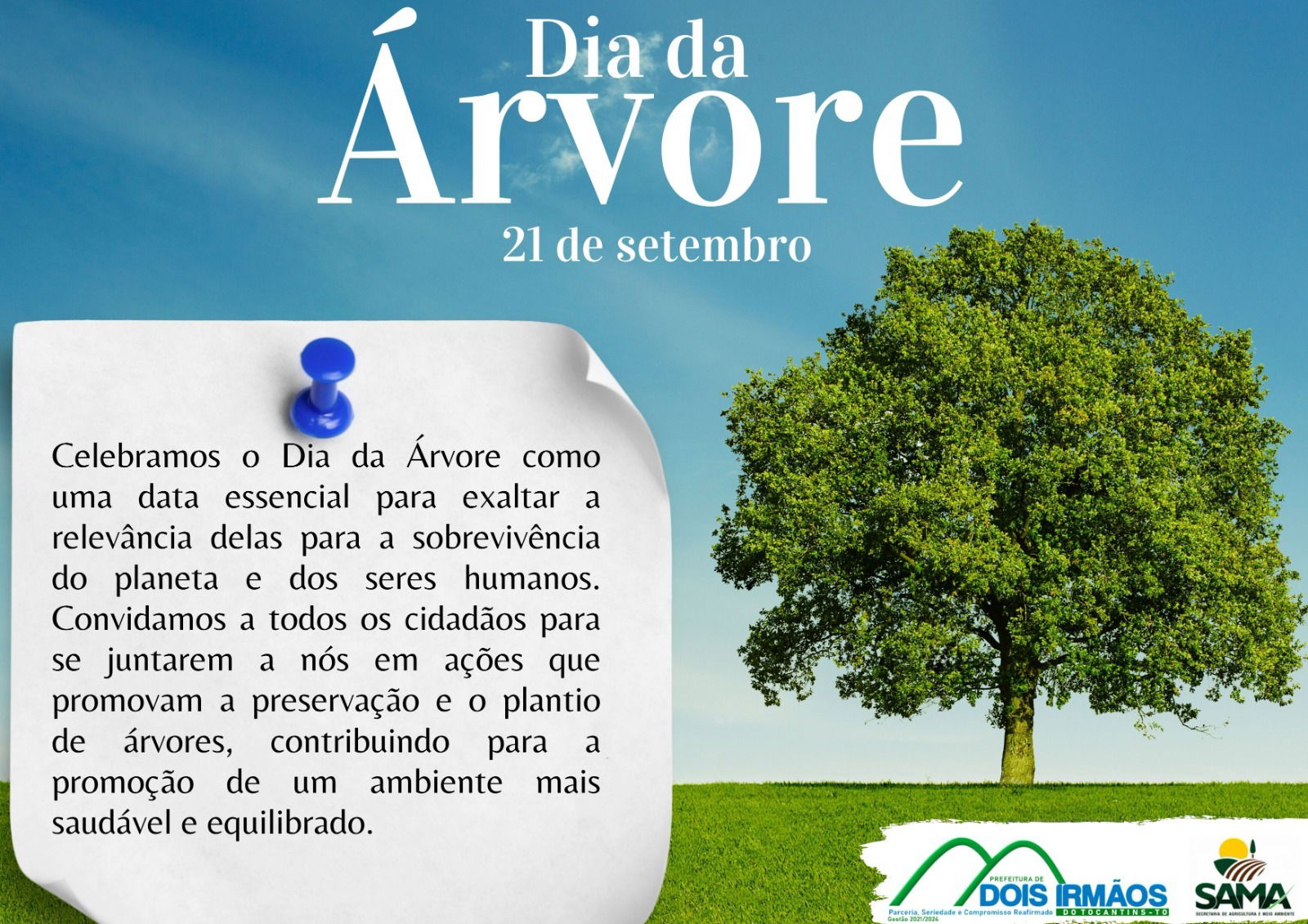 Prefeitura de Dois Irmãos do Tocantins comemora o Dia da Árvore com mensagem de preservação ao meio ambiente