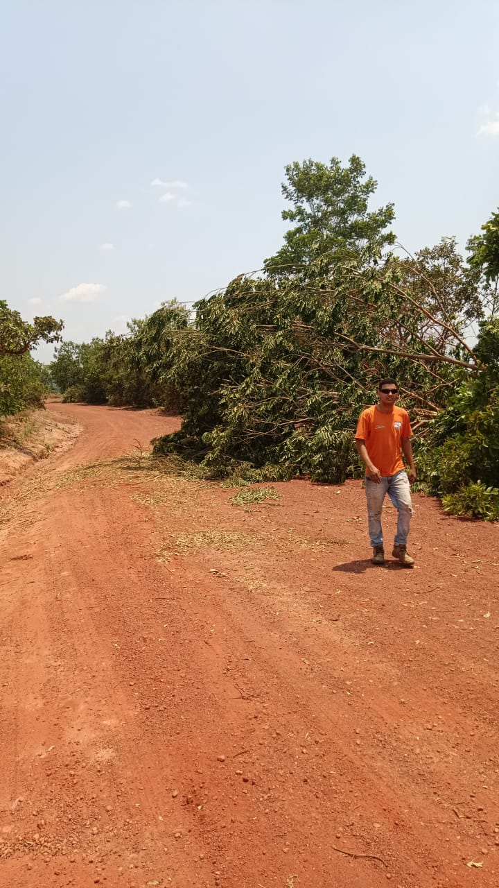 Brigada Ambiental de Dois Irmãos do Tocantins realiza duas operações para retirada de galhas de rodovias que passa pelo município