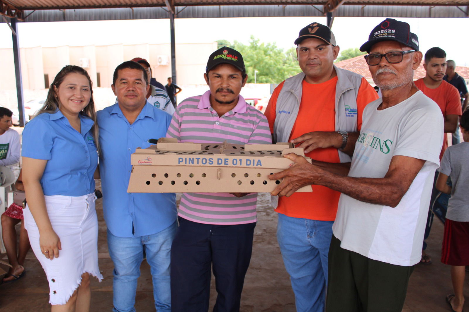 Programa Avicultura de Corte é destaque em Dois Irmãos do Tocantins