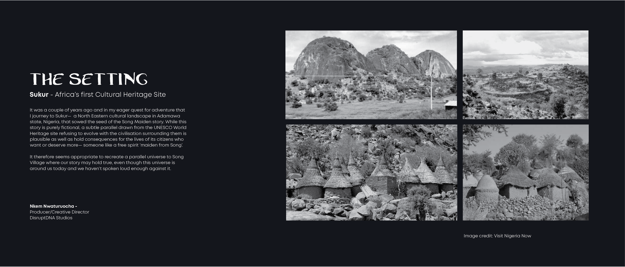 Synopsis & The Art Book