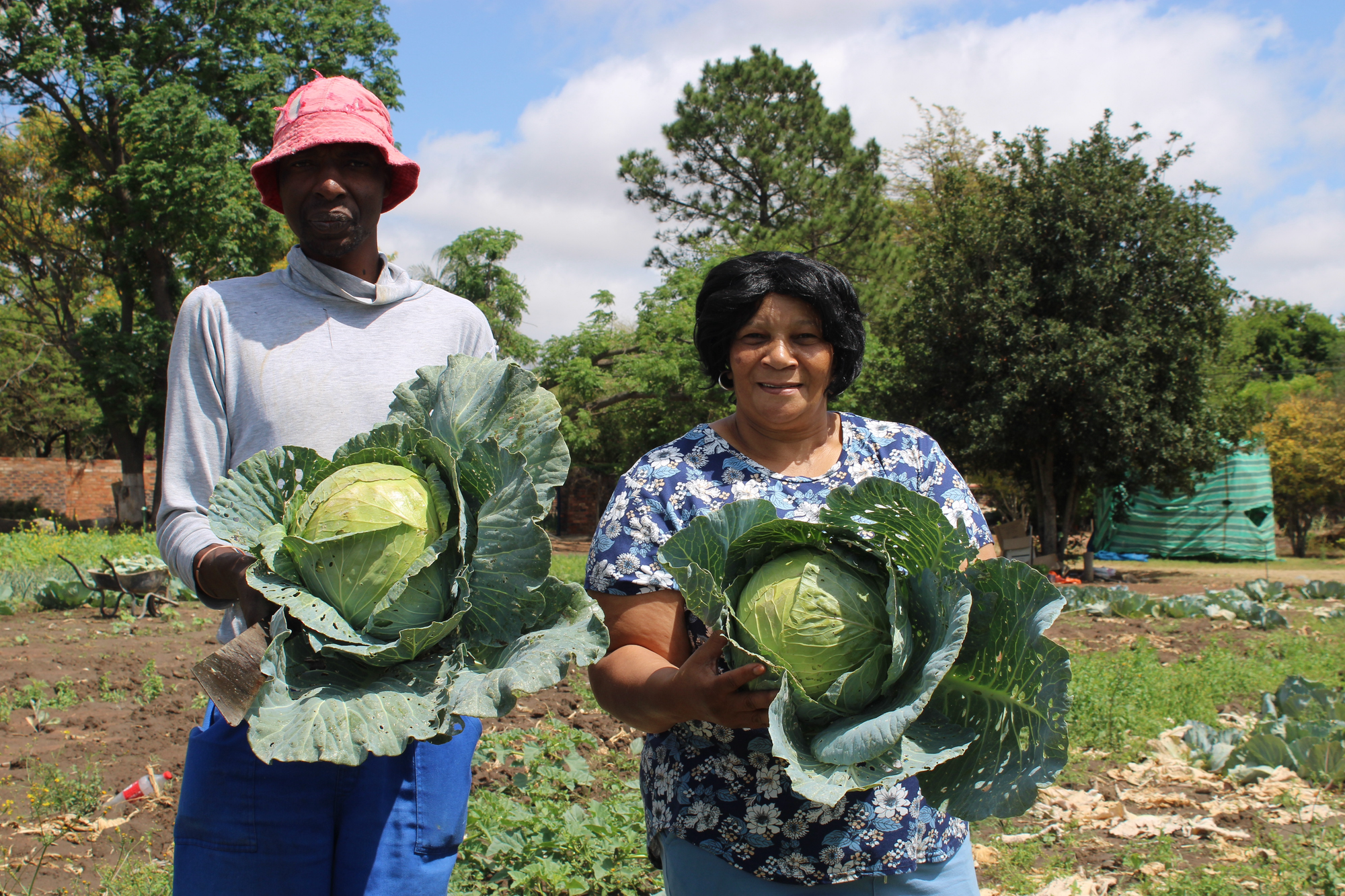 From Farm To Table