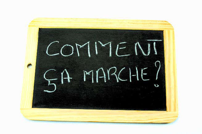 Notre méthode est positive et fonctionne par la compréhension du chien !