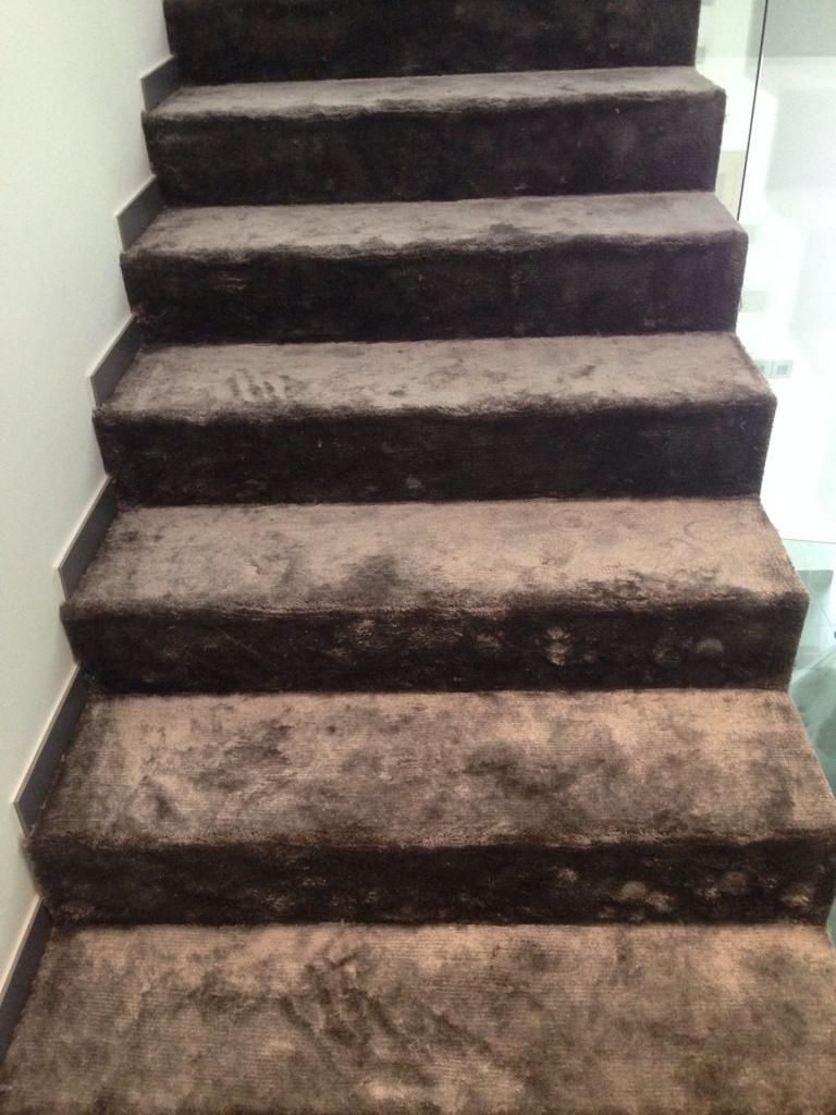 Velvet luxury carpet for your stairs