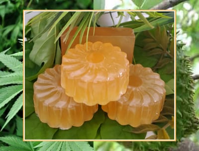 Jabón de CBD, Guanábana y Caléndula