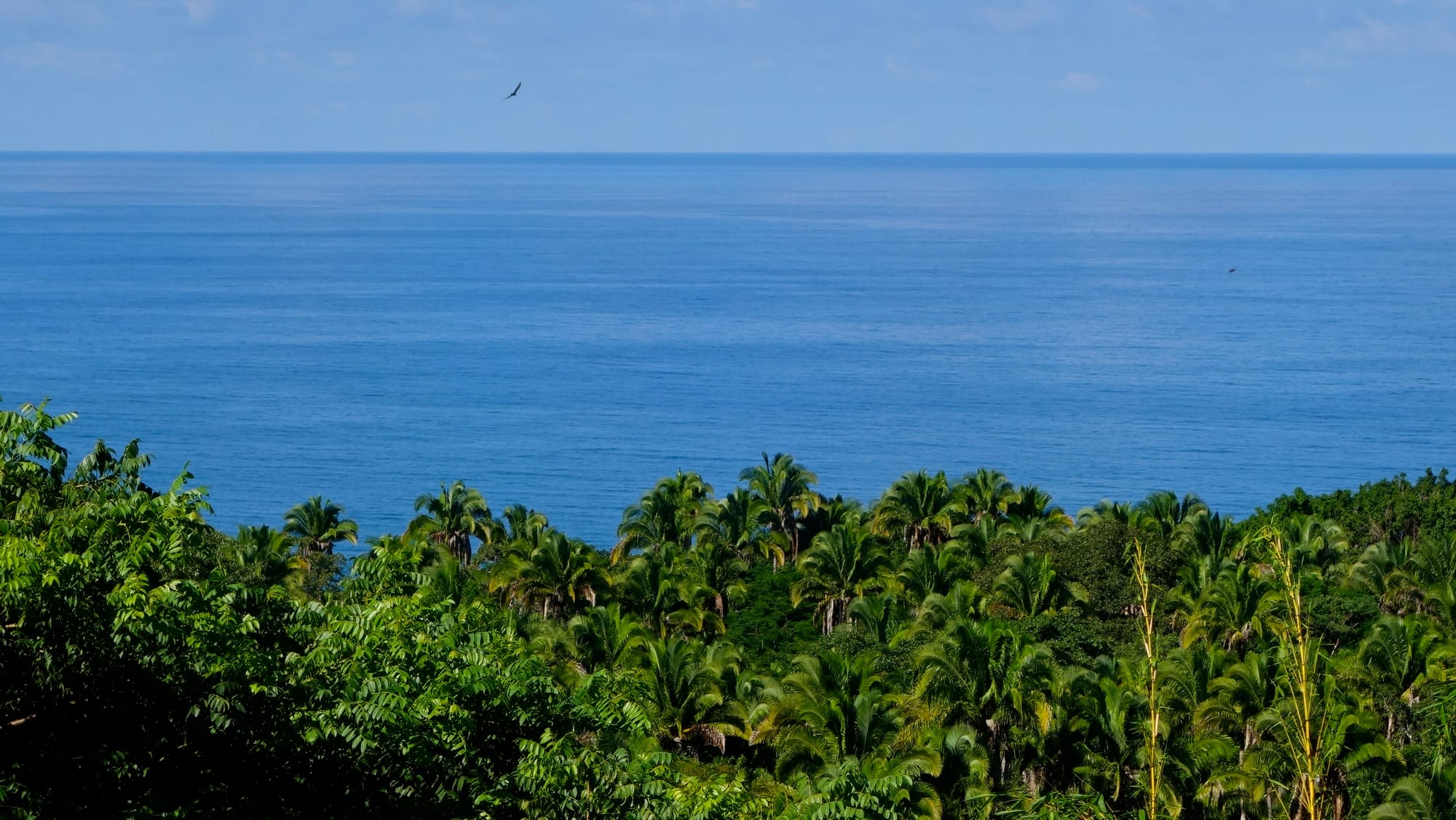 3 Bedroom 2.5 Bath Main Villa at Karuna a Tranquil Retreat in Paradise