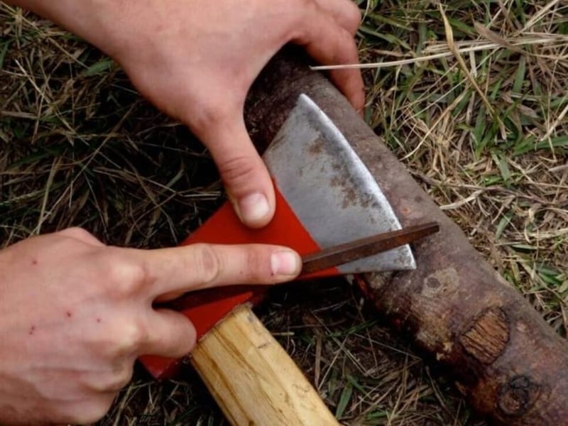 התכונה החשובה להצלחה. שבוע 303