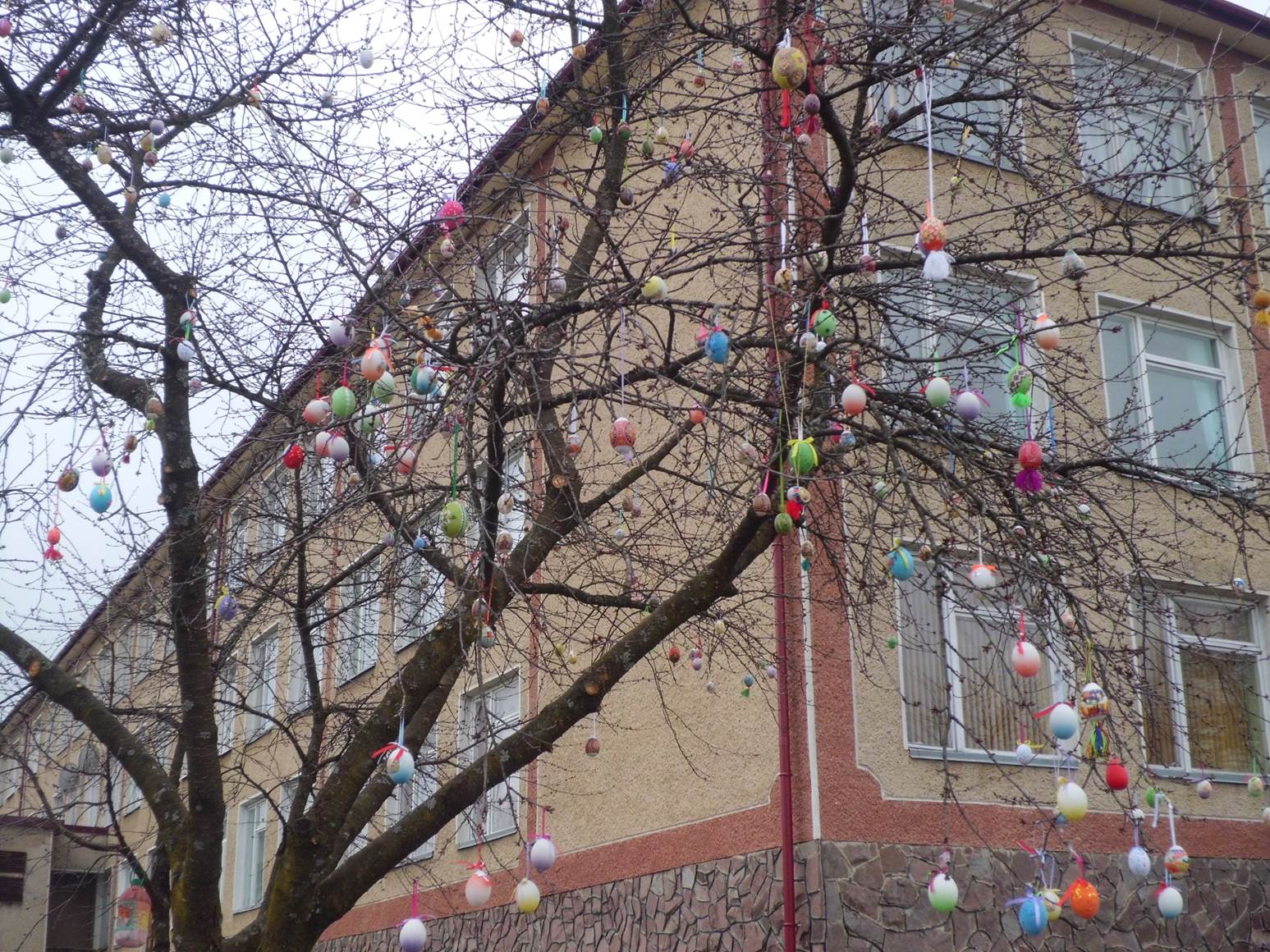 Акція "Писанкове дерево"