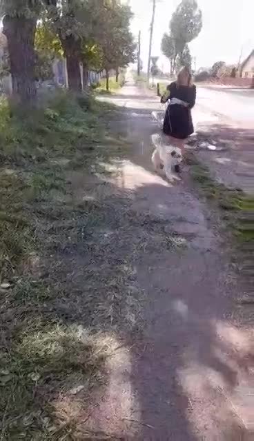 S N O W Y    *** G E A D O P T E E R D ***