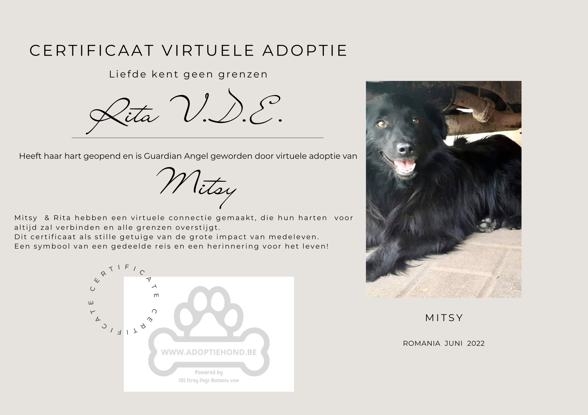 MITSY heeft een Guardian Angel