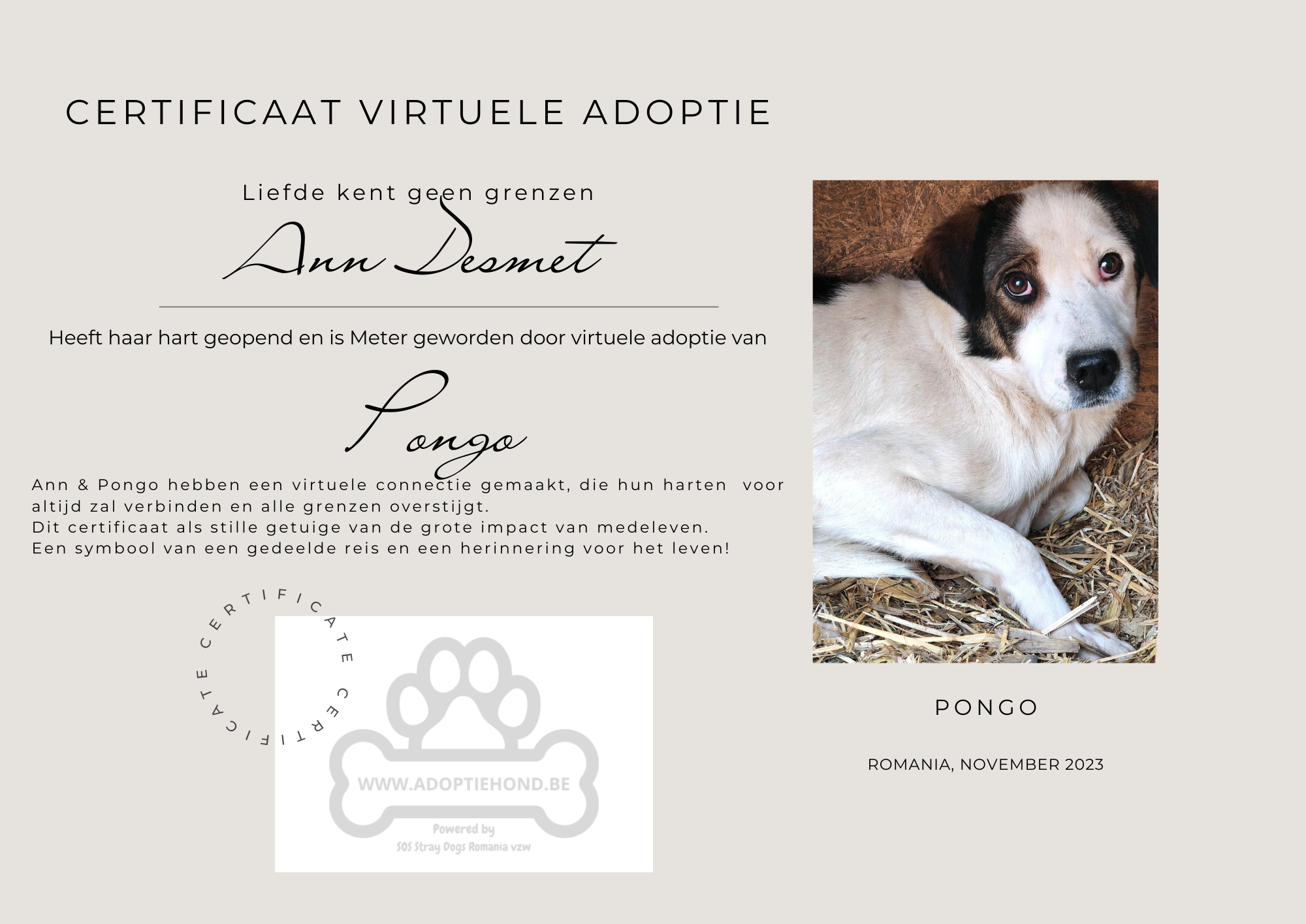 Wie helpt Pongo?