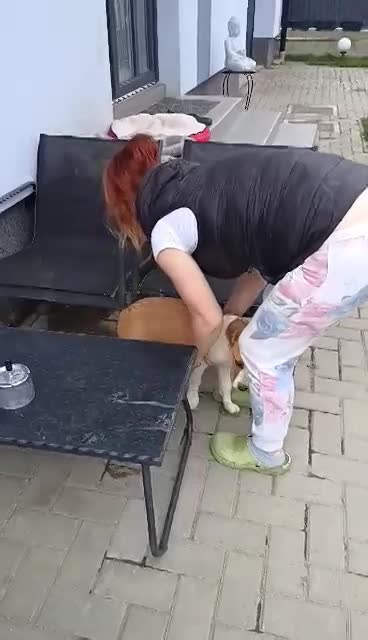 R U F U S    ******    G E A D O P T E E R D     ******