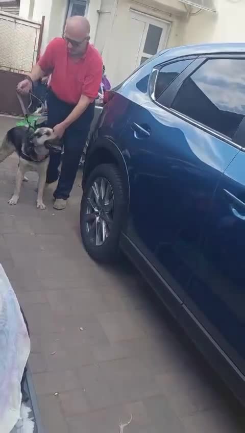 D O U G L A S  (ALIAS "DOOGIE")  *** GEADOPTEERD ***