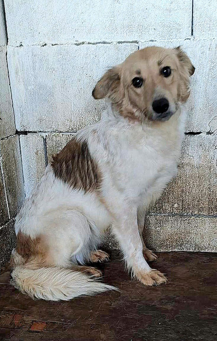 L I S A    *** G E A D O P T E E R D ***