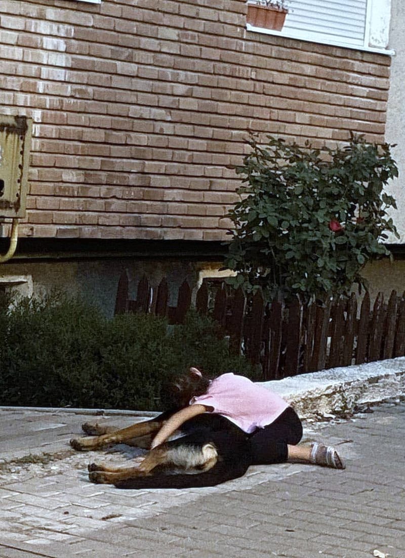 J E S S I E    ***   GEADOPTEERD  ***