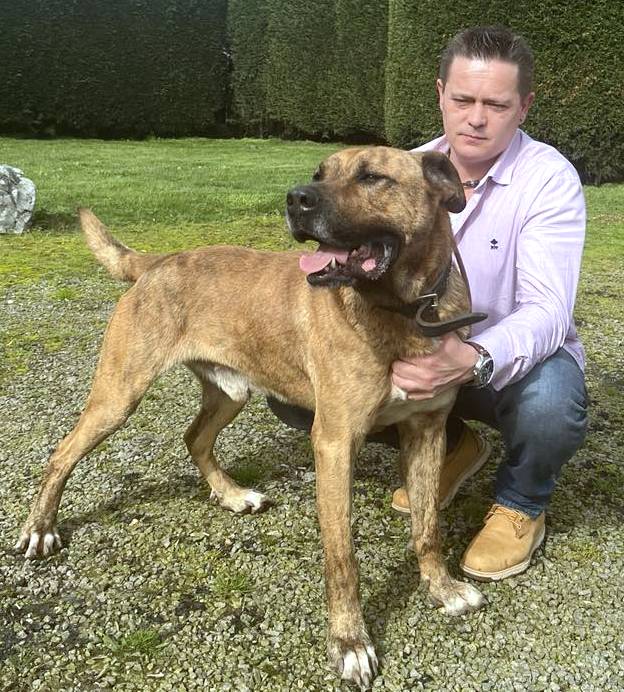 R O L L Y   ***   G E A D O P T E E R D  ***