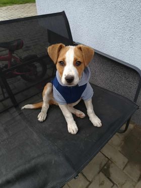 R U F U S    ******    G E A D O P T E E R D     ******