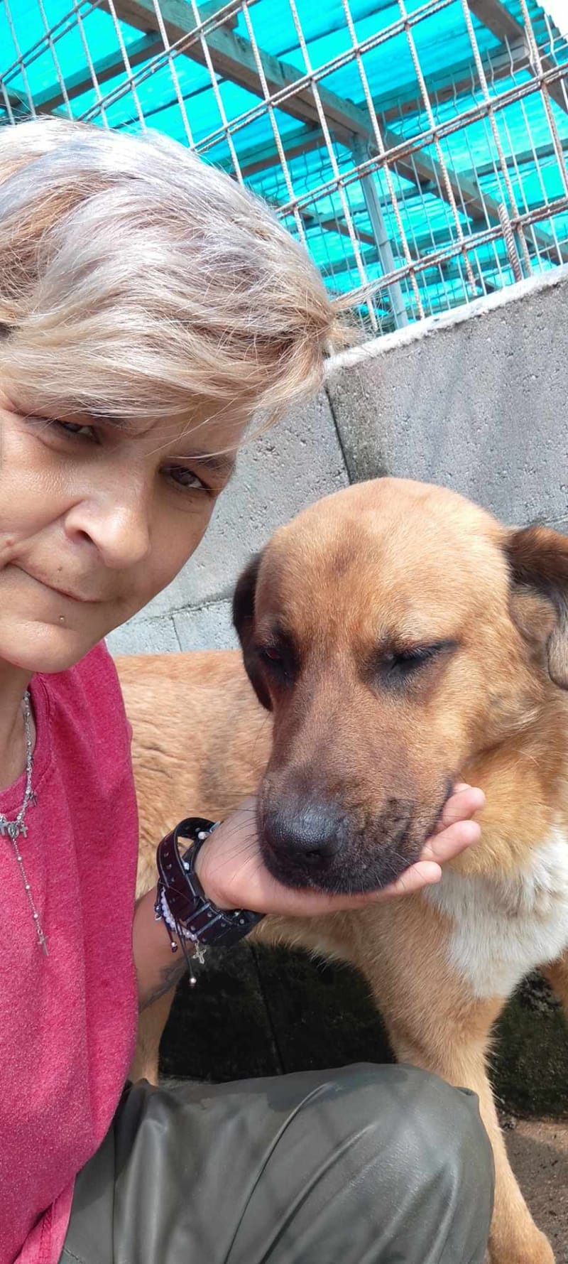 M I L O **** GEADOPTEERD ****