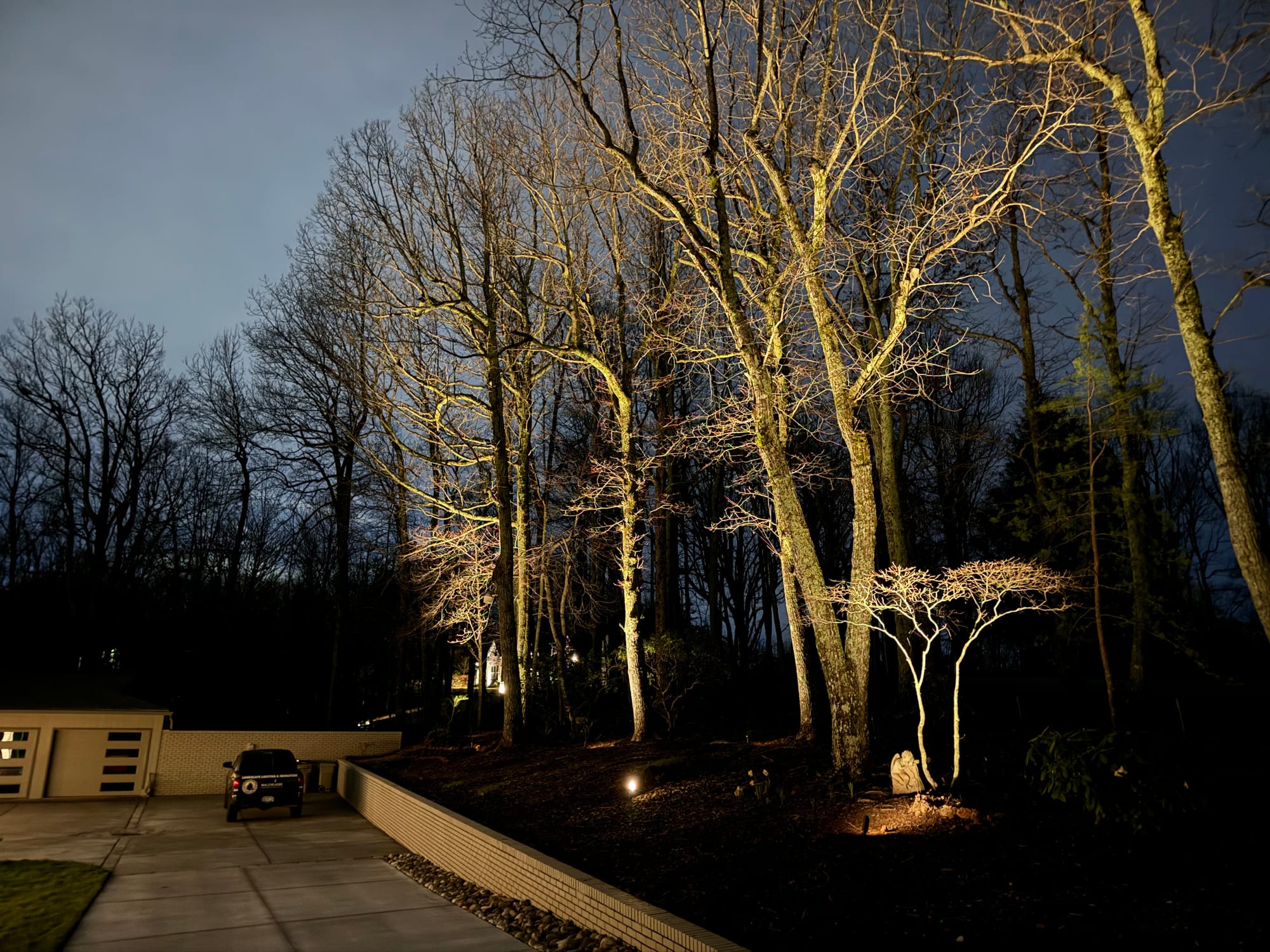Trees
