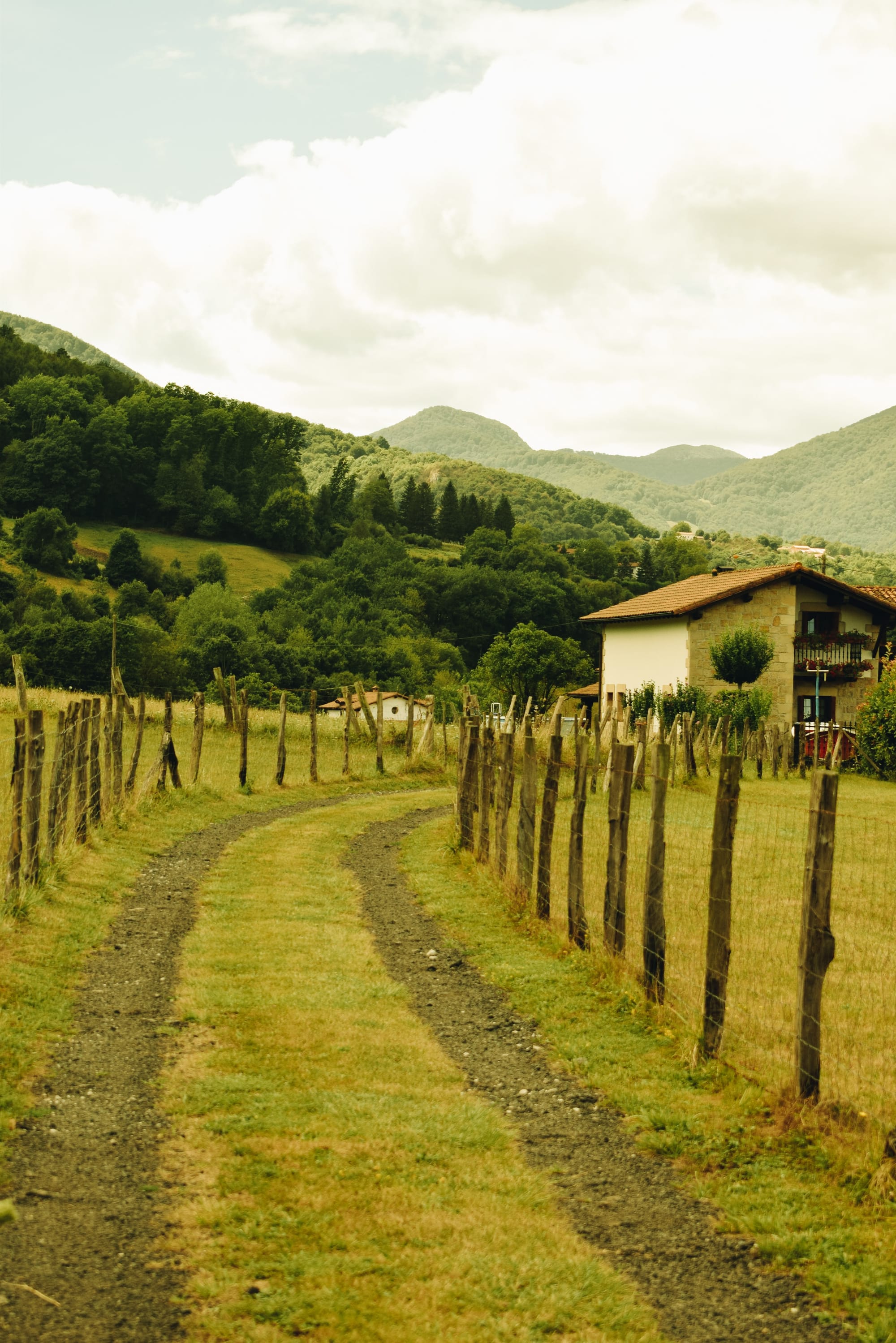 VALLE DEL RONCAL