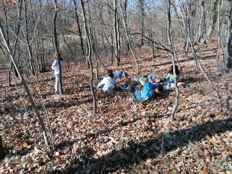 Viškovo - FOREST ESCAPE