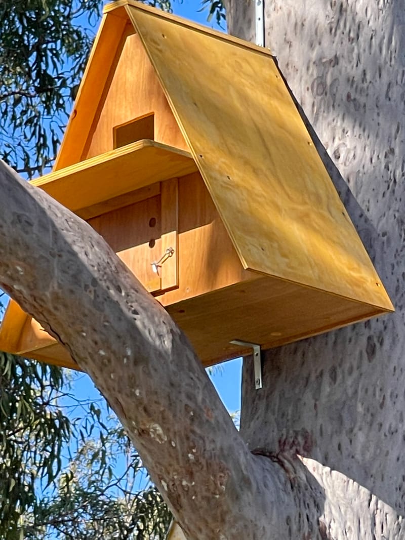 FAUNA NESTING BOX INSTALLATION