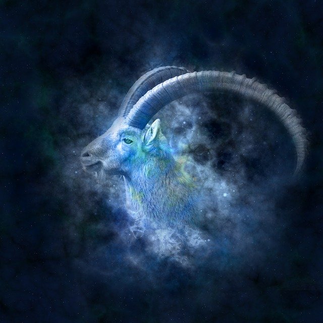 CAPRICORN