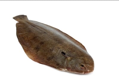 Gebakken zeetong met witte wijnsaus en garnalen.