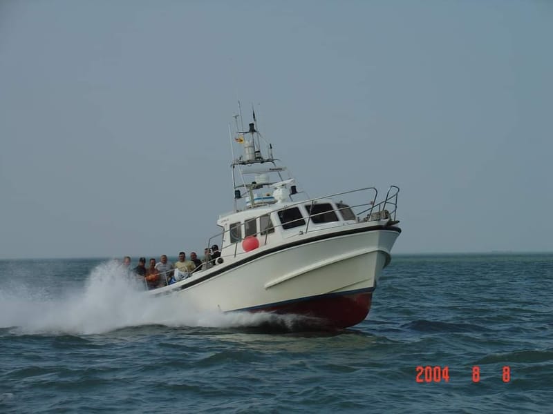 Zeehengelen Noordzee